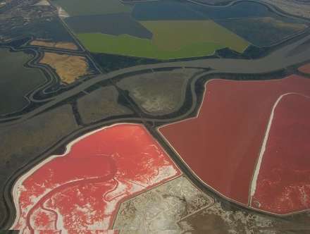 استخرهای رنگارنگ نمک در خلیج سان فرانسیسکو