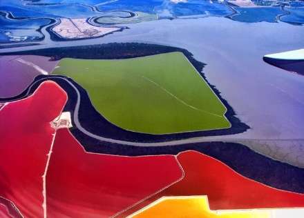 استخرهای رنگارنگ نمک در خلیج سان فرانسیسکو