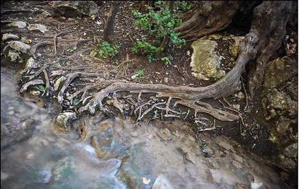 آبشار زیبای آق سو به روایت تصاویر