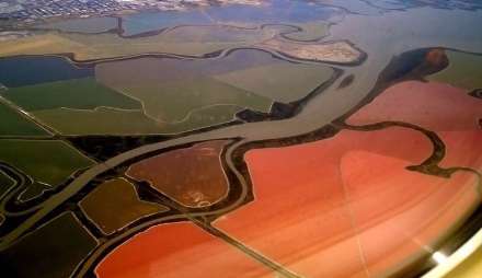 استخرهای رنگارنگ نمک در خلیج سان فرانسیسکو