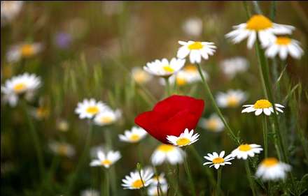 طبیعت زیبای جاده اسالم به خلخال رشت در قاب تصاویر