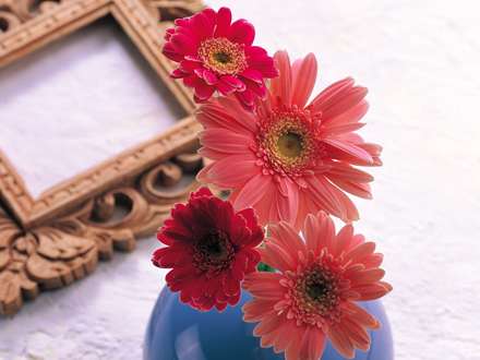 گلهاي صورتي و قرمز در كنار يك قاب