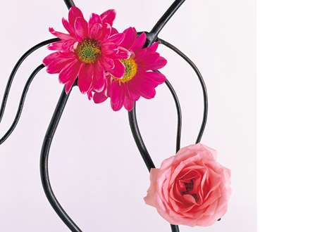 نمايي از گلهاي صورتي و بنفش