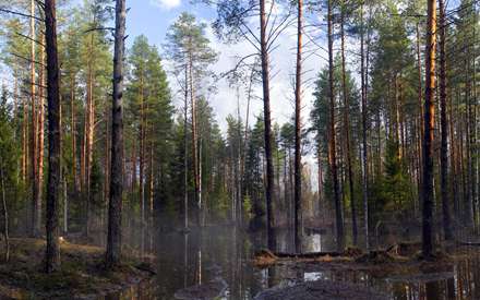 پوستر طبیعت