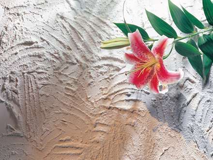 يك شاخه گل صورتي زيبا روي ديوار