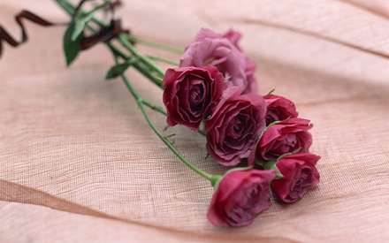 يك دسته گل رز قرمز