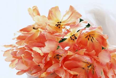 يك دسته گل نارنجي زيبا