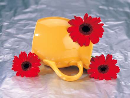 نمايي از گلهاي قرمز و پارچ زرد