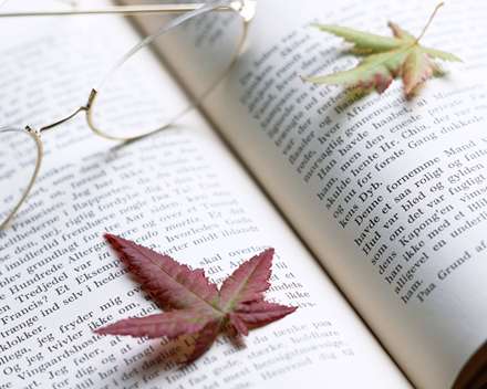 برگهاي پاييزي روي كتاب