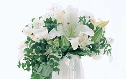 يك دسته گل سفيد و زيبا