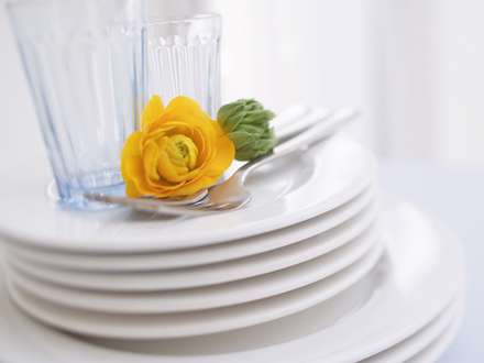 گل زرد در سرويس غذاخوري