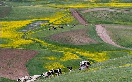 طبیعت دامنه های سبلان در قاب تصاویر