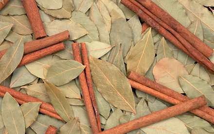 برگها و تكه هاي چوب