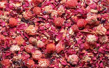 گلها و گلبرگهاي خشك شده