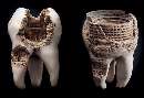 تبلیغات منتشر شده جالب از یک خمیر دندان