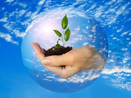 جوانه اي روي دست