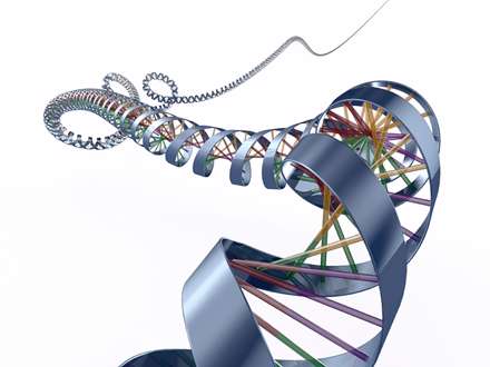رشته دي ان اي (DNA)