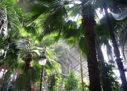 باغ گیاه شناسی در داخل ایستگاه قطار مادرید