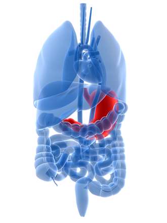 قسمتي از اعضاي بدن انسان