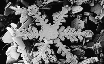 ناگفته های دانه های برف به روایت تصاویر!