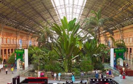 باغ گیاه شناسی در داخل ایستگاه قطار مادرید