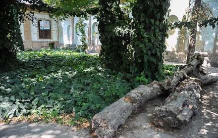 حال خانه‌ی "صادق هدایت " خوب نیست