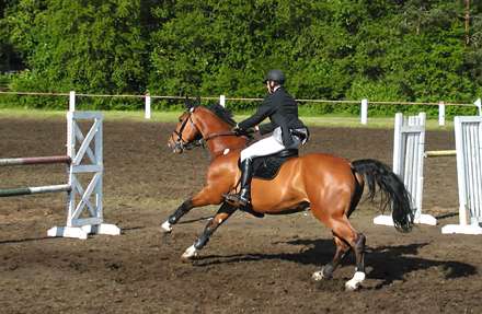 مسابقه اسب سواری