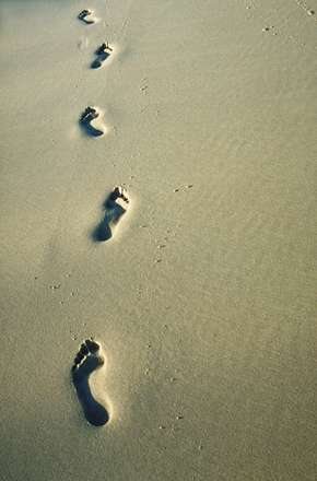 رد پا روی شن