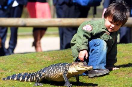 وقتی نشانی از ترس در وجود این کودک نیست !