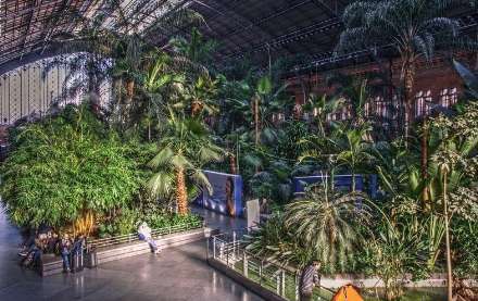 باغ گیاه شناسی در داخل ایستگاه قطار مادرید