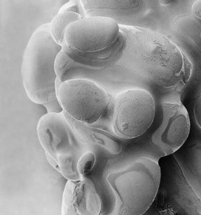 ناگفته های دانه های برف به روایت تصاویر!