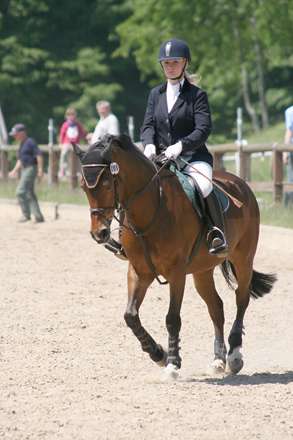 اسب قهوه ای