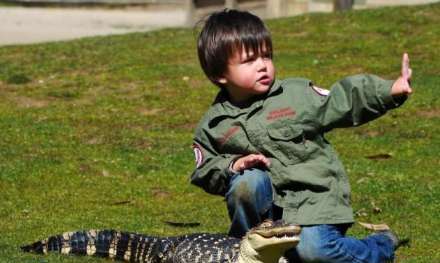 وقتی نشانی از ترس در وجود این کودک نیست !