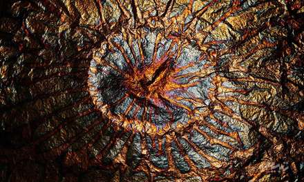 پس زمينه رنگي منقش