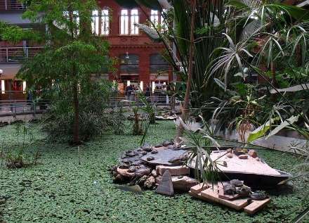 باغ گیاه شناسی در داخل ایستگاه قطار مادرید