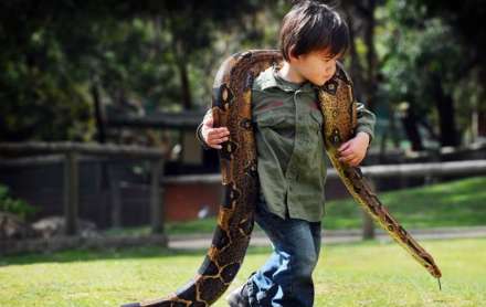 وقتی نشانی از ترس در وجود این کودک نیست !