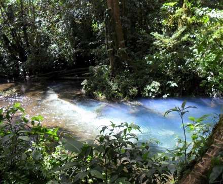 رود خانه ای به رنگ فیروزه ای در کاستاریکا