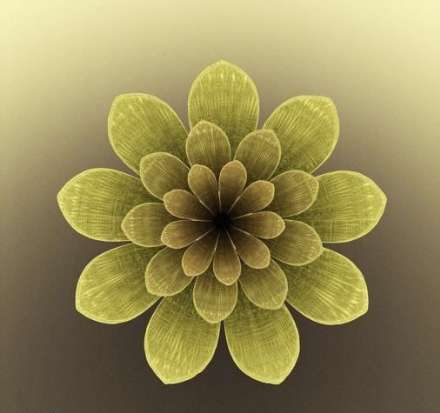 فکر می کنید این تصاویر زیبا از روی چه چیزی الگو برداری شده است؟