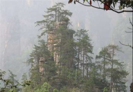 پارک ستون‌های صخره‌ای «چانگ ژیاژیه»