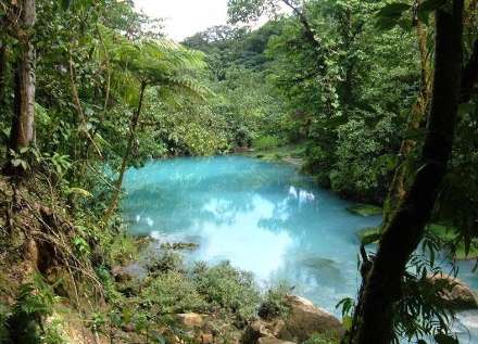 رود خانه ای به رنگ فیروزه ای در کاستاریکا