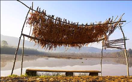 گزارش تصویری از دریاچه الندان