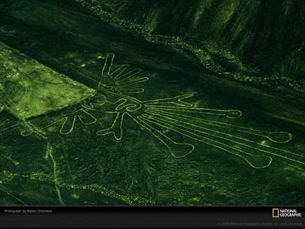 نقش و نگار هاي عجيب روي مزرعه