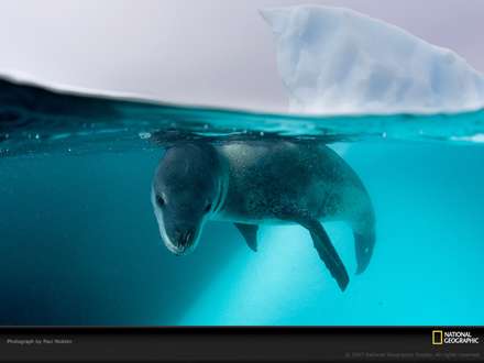 فك آبي زير آب