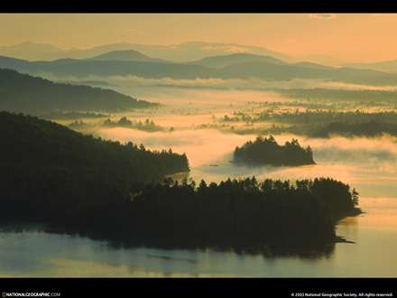 نمايي از ساحل هاي جنگلي مه آلود