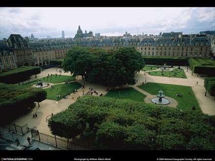 نمایی از یک فضای سبز زیبا