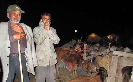 سرما در مناطق زلزله زده اهر و ورزقان