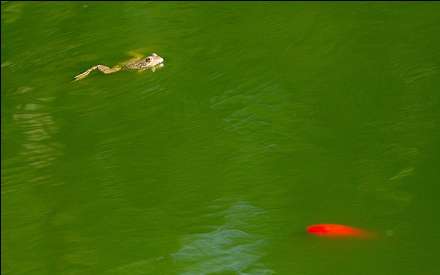 گزارش تصویری از دریاچه الندان