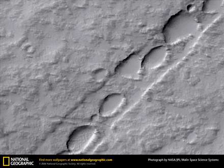 تصويري در ميكروسكوپ