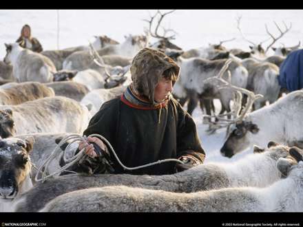 يك مرد گله دار