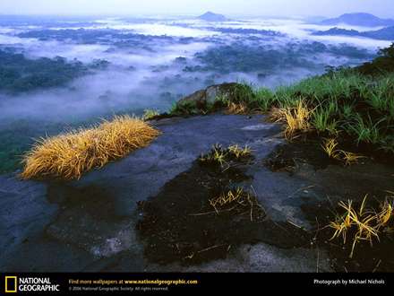 كوهستان در مه